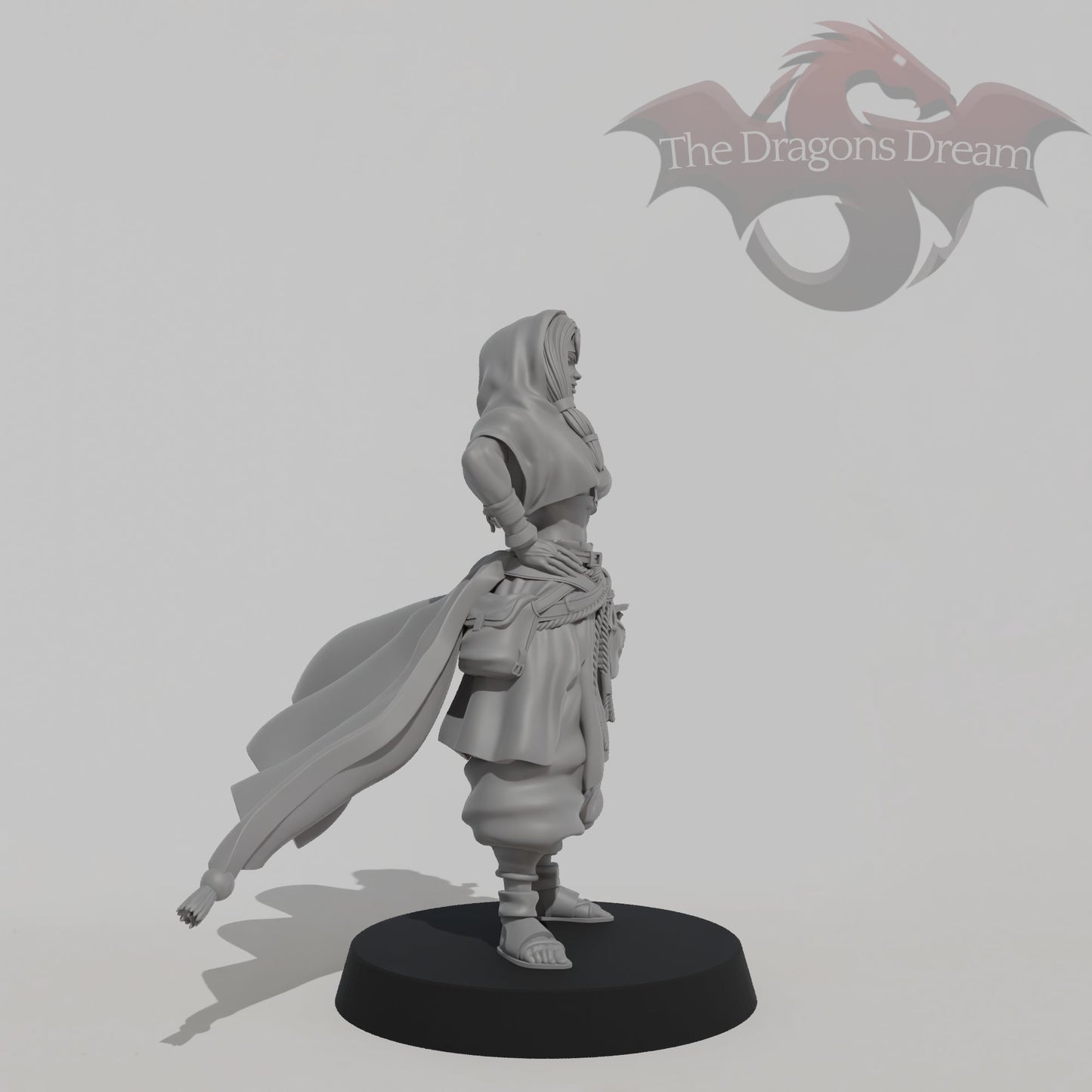 Leyla Zephyris - Rogue