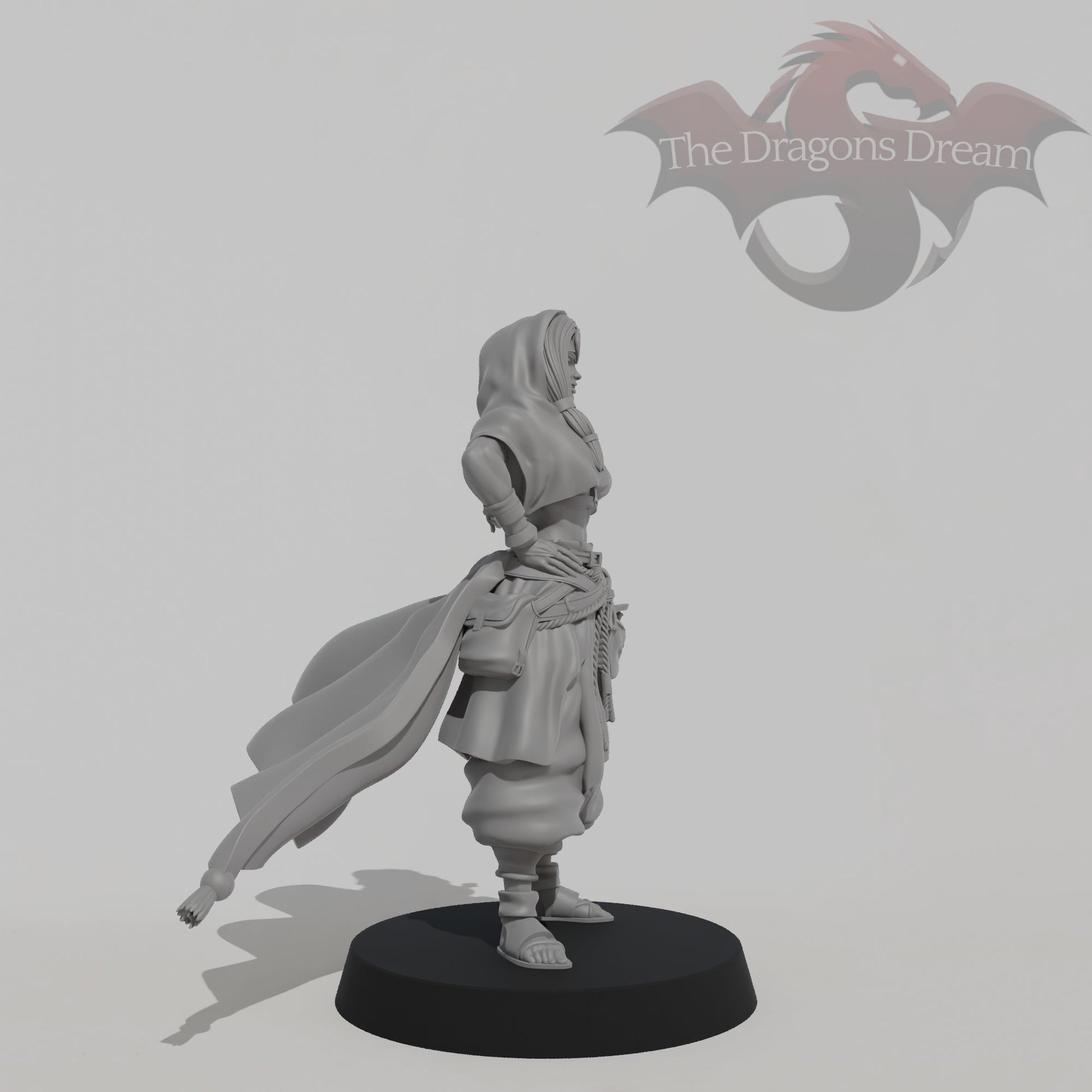Leyla Zephyris - Rogue