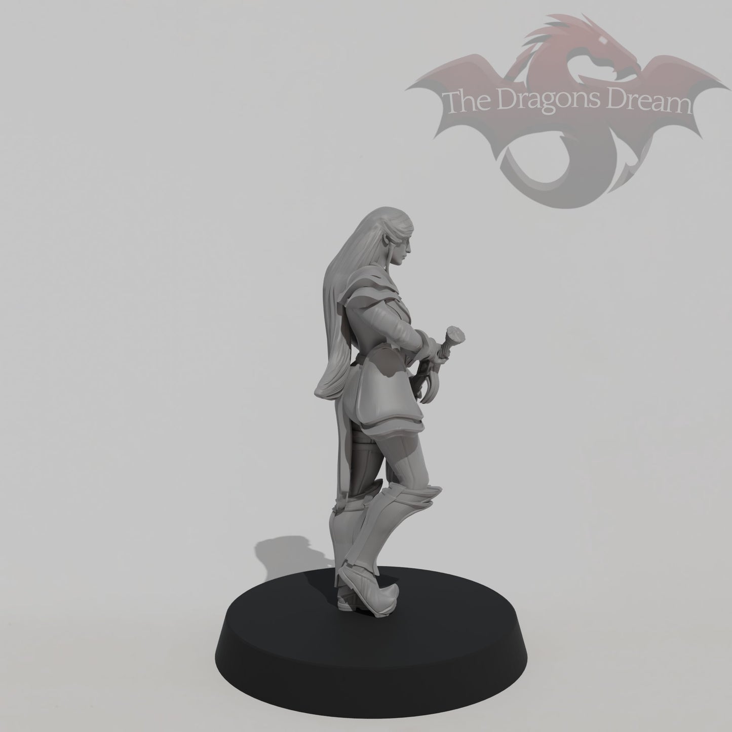 Female Paladin