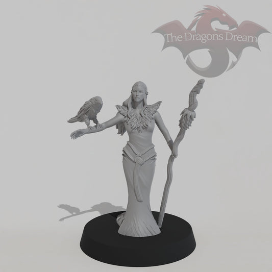 Raven Enchantress