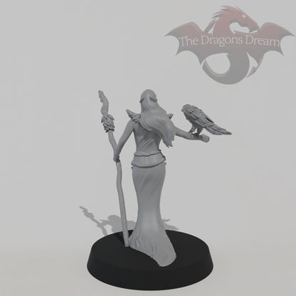 Raven Enchantress