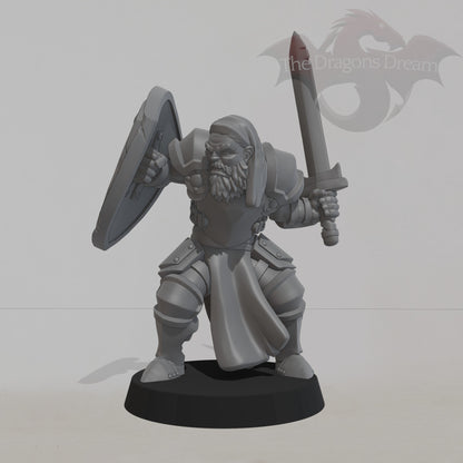Male Knight