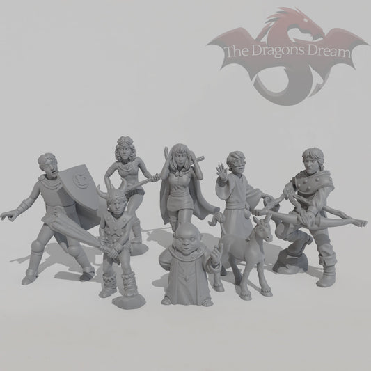Dungeons & Dragons - Heroes