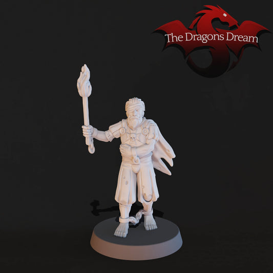 Sir Ragnar Prisoner