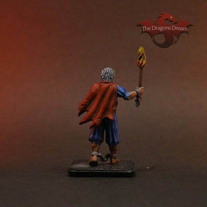 Sir Ragnar Prisoner