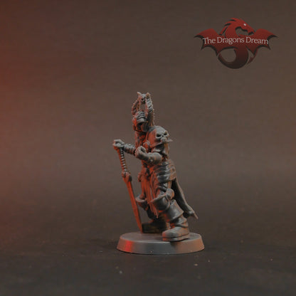 Skulmar - Death Knight