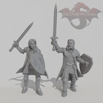 Guardian Knights