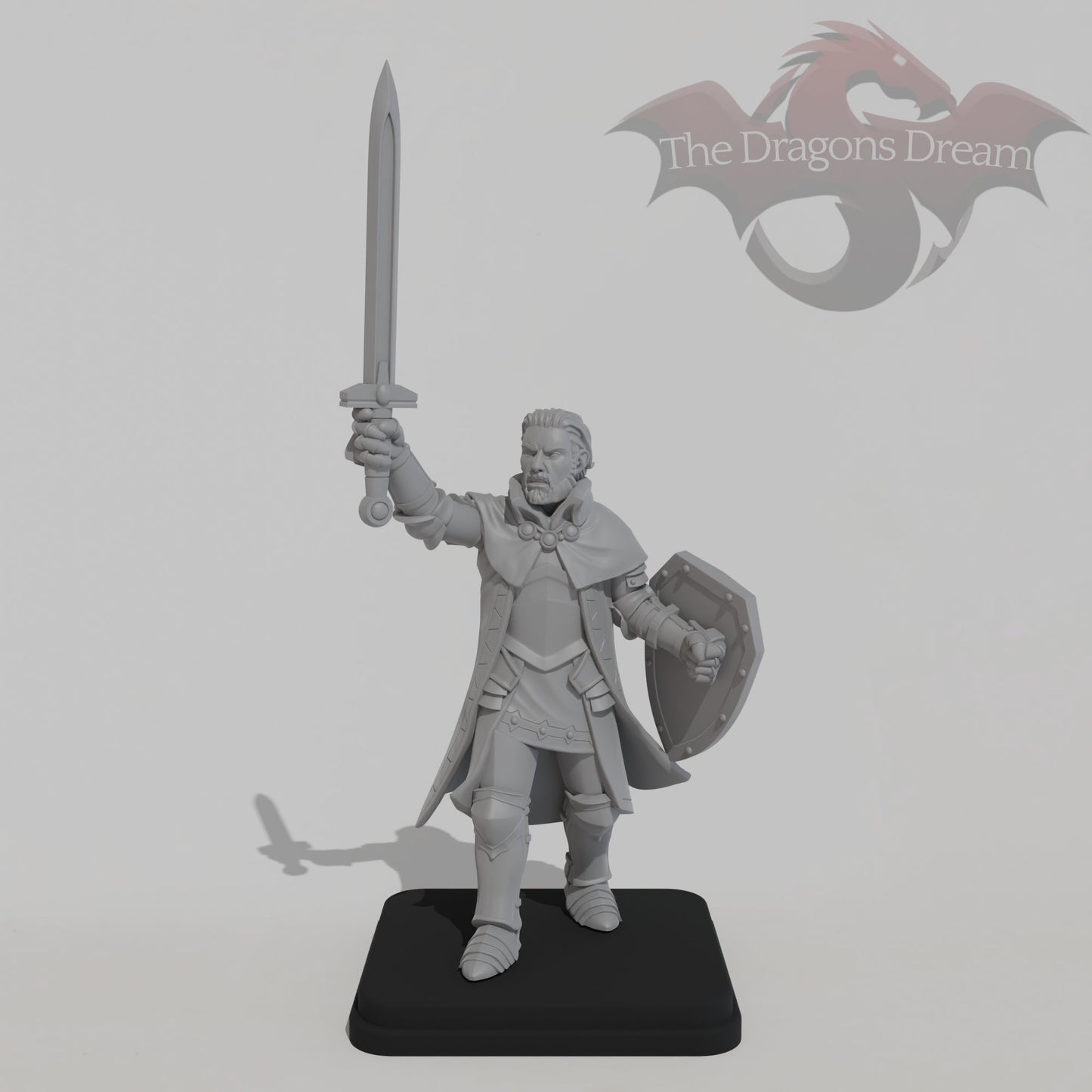 Male Guardian Knight