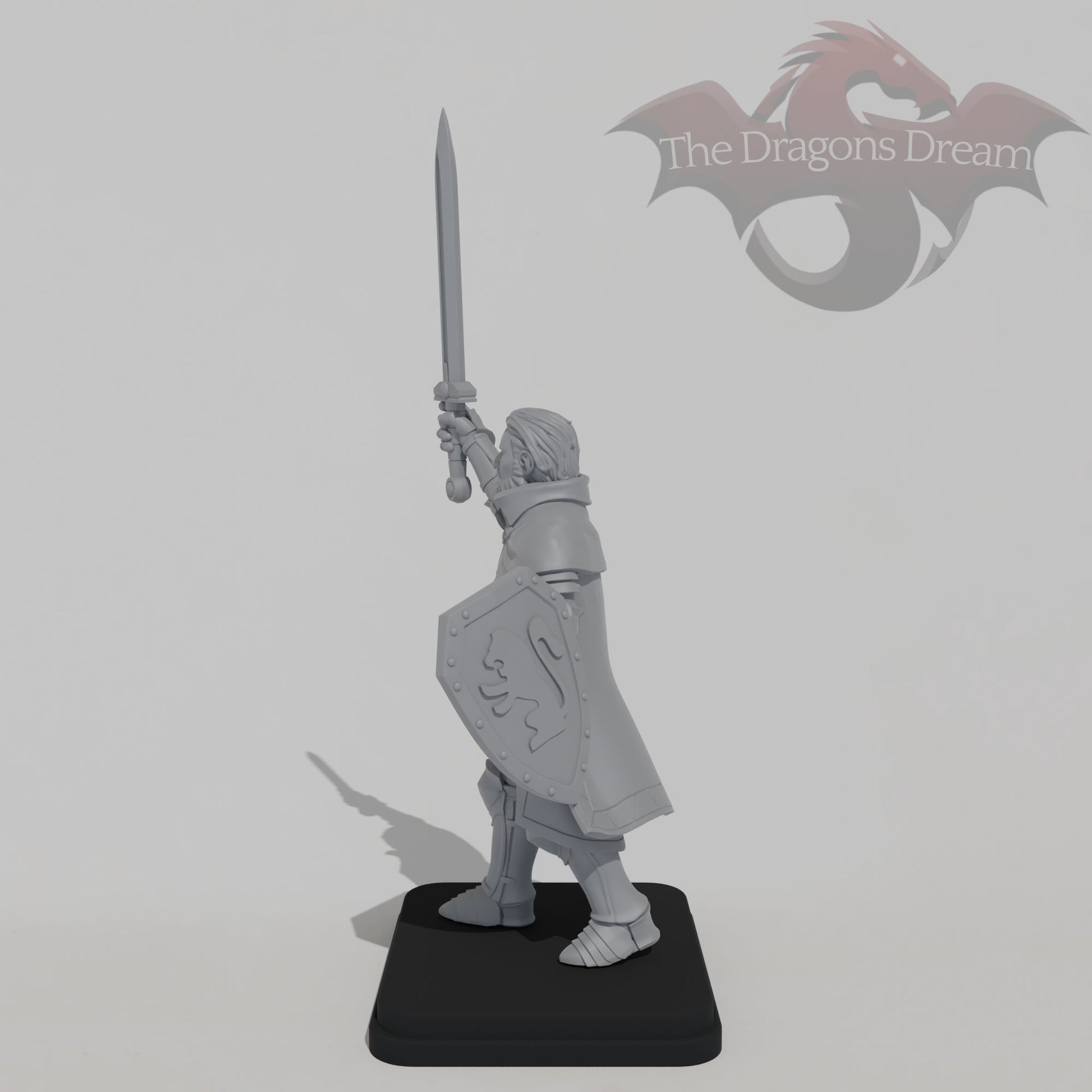 Male Guardian Knight