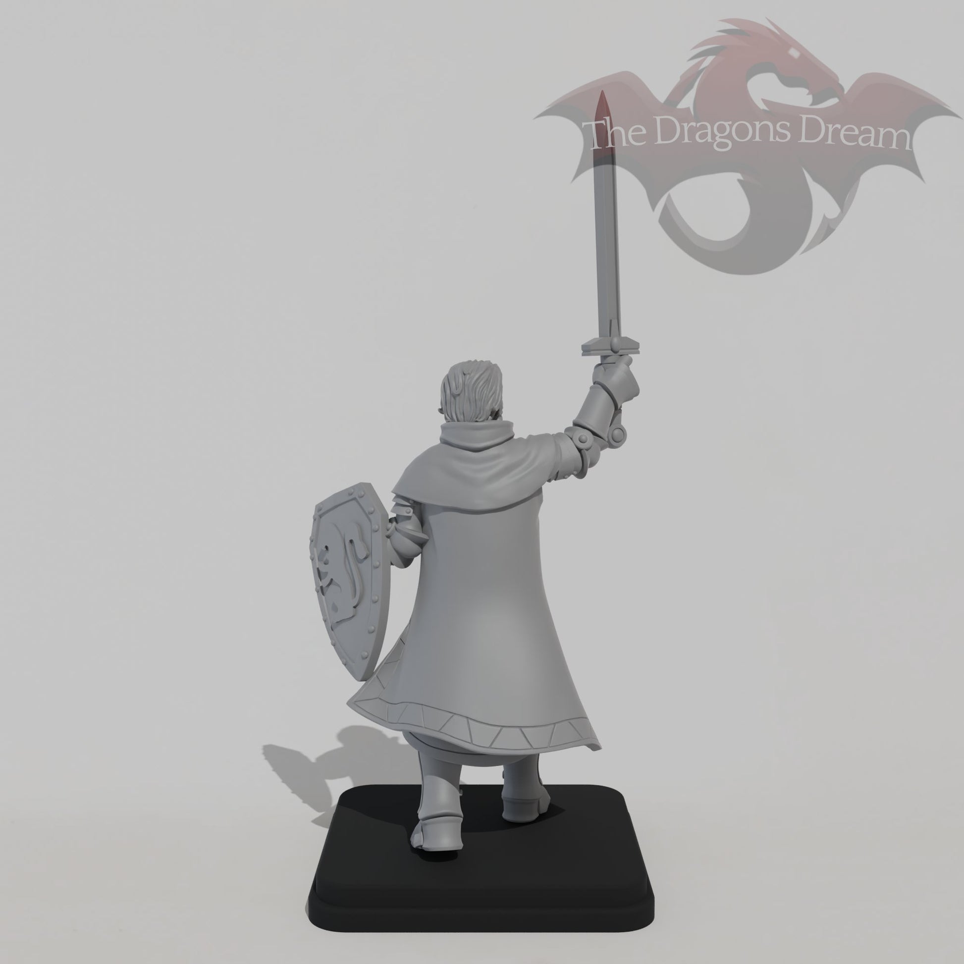 Male Guardian Knight