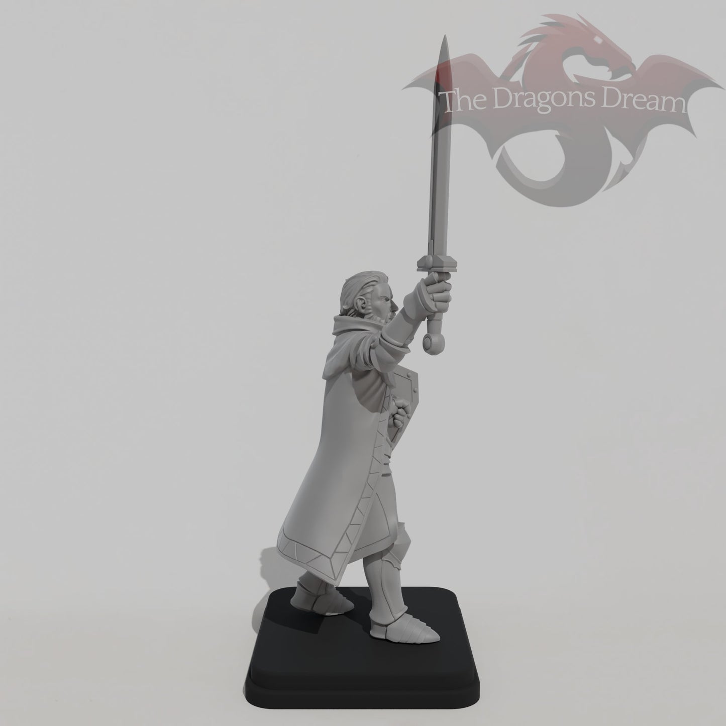 Male Guardian Knight