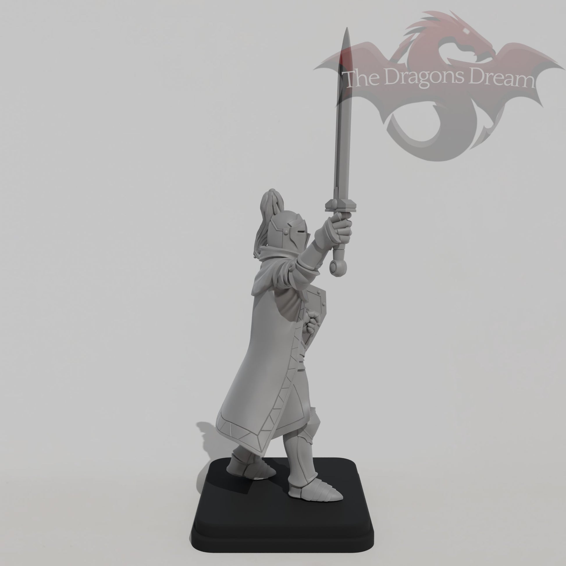 Male Knight