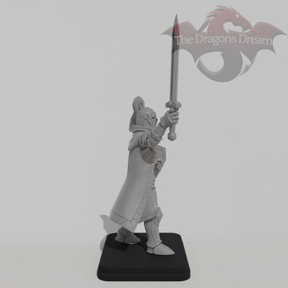 Male Knight
