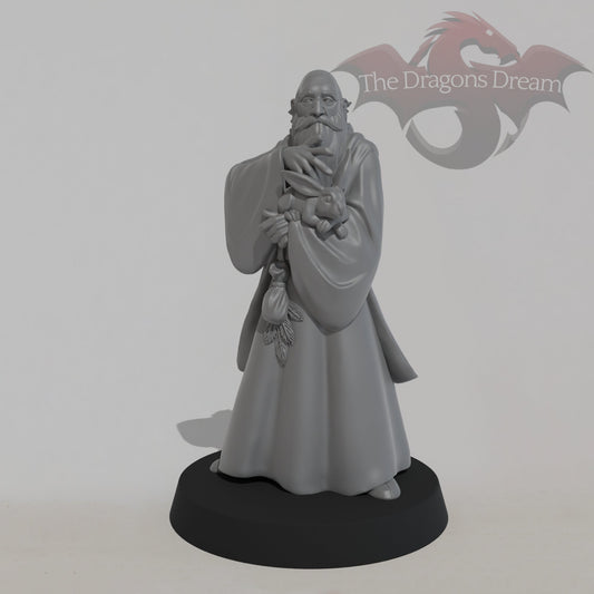Merlin - Male Wizard
