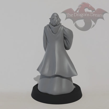 Merlin - Male Wizard