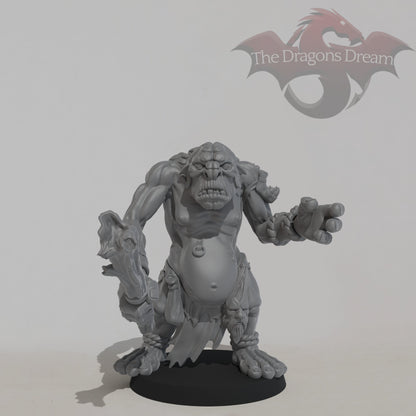 Mountain Troll