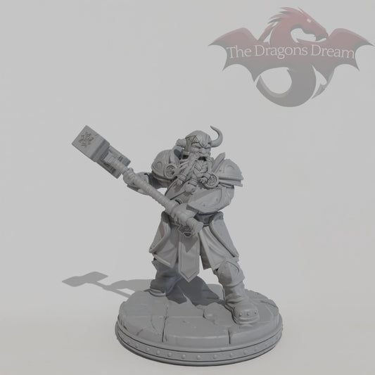 Dwarf Fighter - Bruhmmir