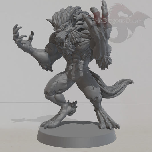 Transforming Werewolf