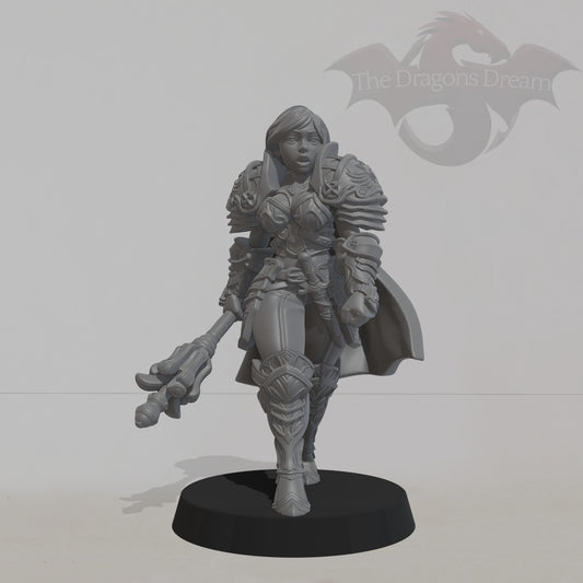 Caliope Human Paladin