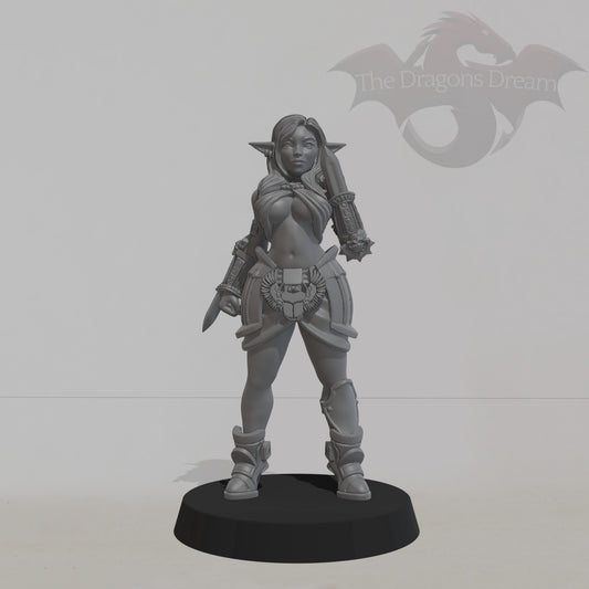 Itaka - Elf Rogue