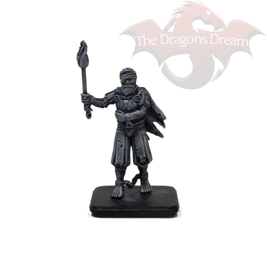 Sir Ragnar Prisoner - Heroquest Boss