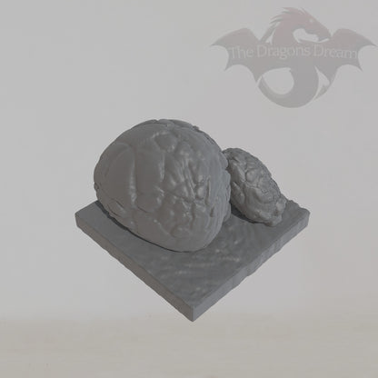 Trap - Falling Rocks / Boulders