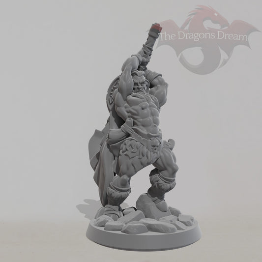 Male Barbarian