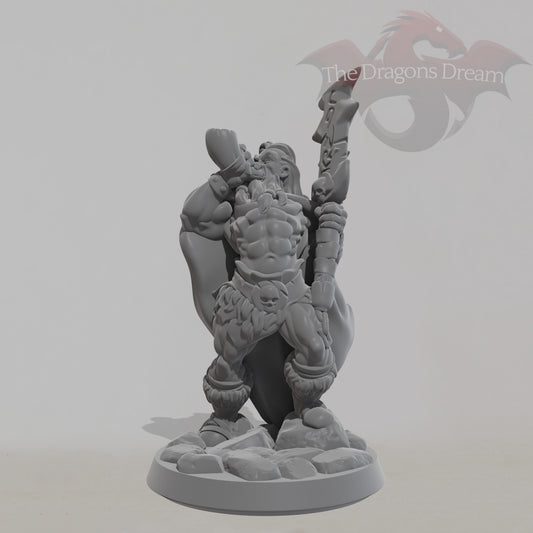 Male Barbarian