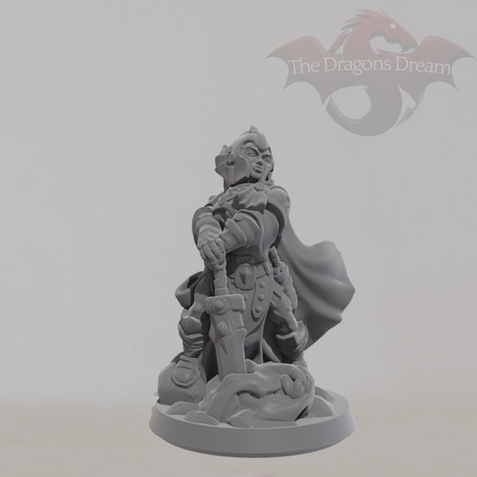 Female Paladin
