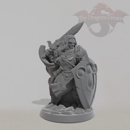 Male Paladin