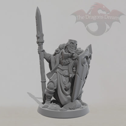 Male Paladin