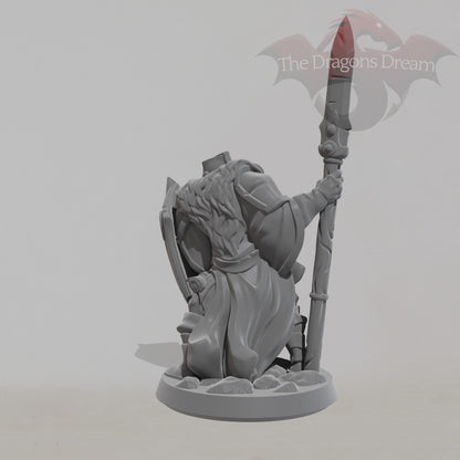 Male Paladin