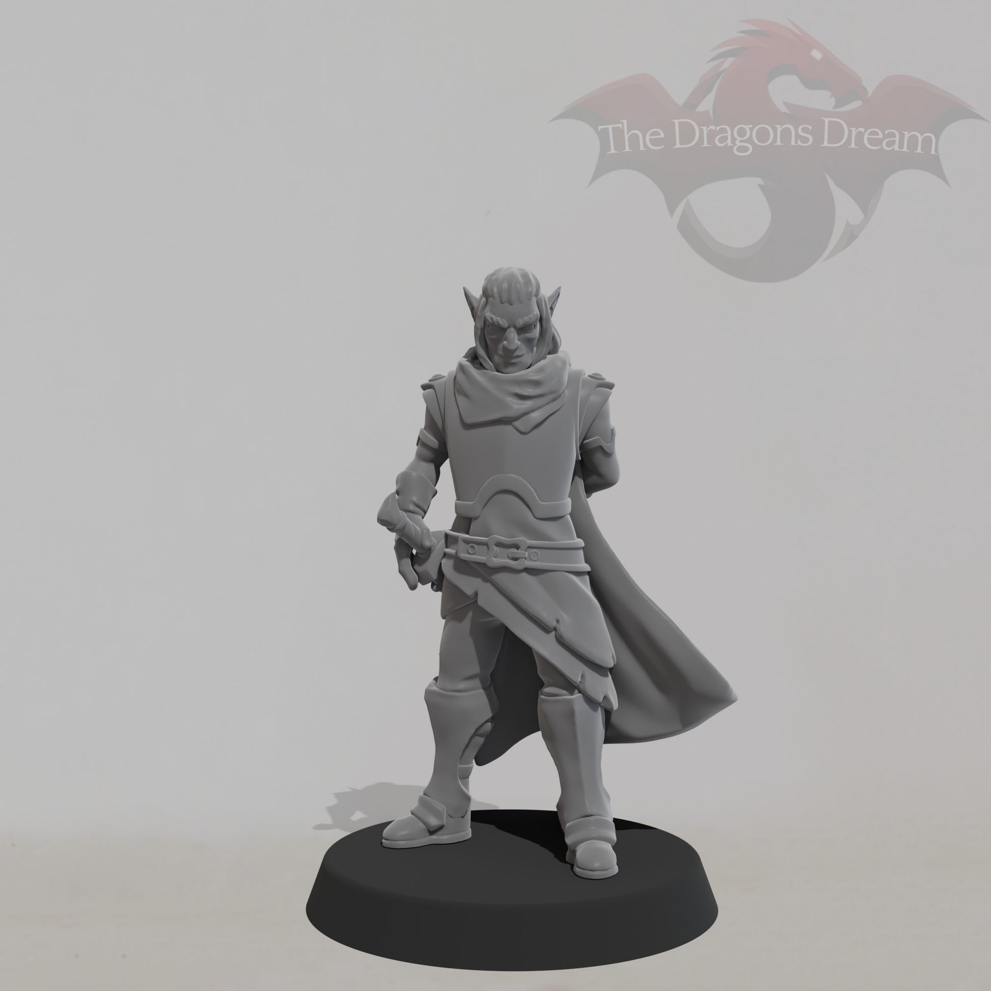 Male Elf - Heroquest