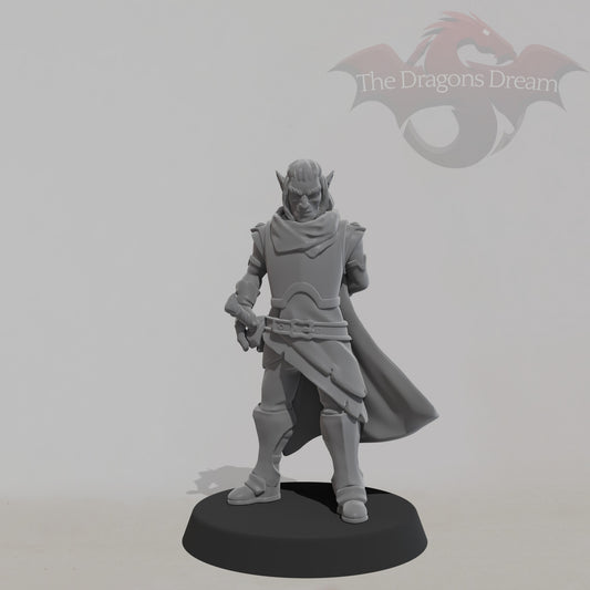 Male Elf - Heroquest